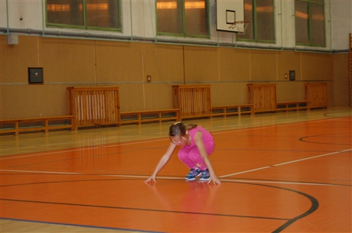 Obrázek v galerii
